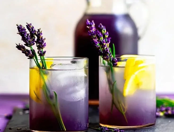 A refreshing Lavender Lemonade Mocktail served in a glass with lemon slices and lavender sprigs.